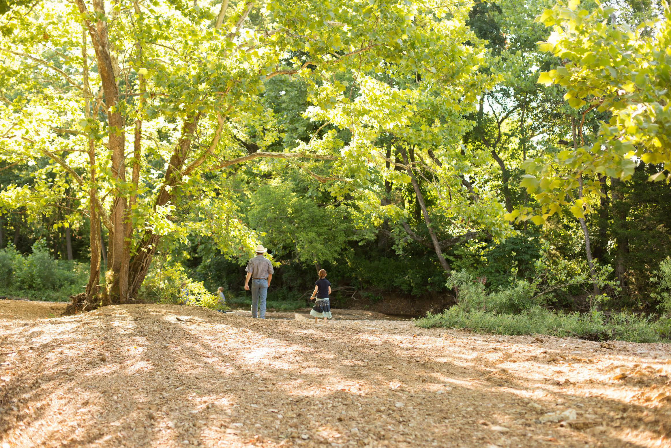 Exploring the woods